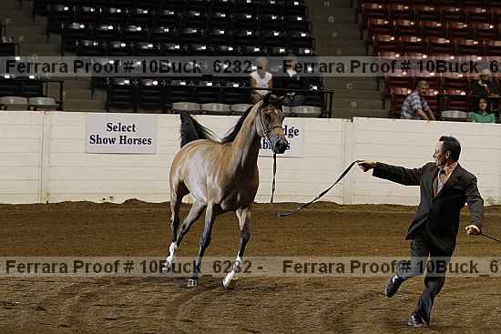 Proof 10buck_6282