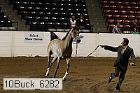 10buck_6282 proof