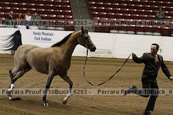 Proof 10buck_6283