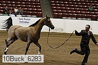 10buck_6283 proof
