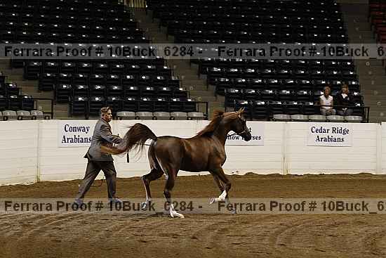 Proof 10buck_6284