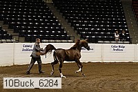 10buck_6284 proof