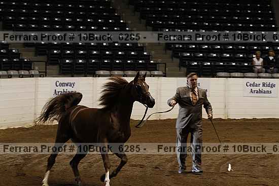 Proof 10buck_6285