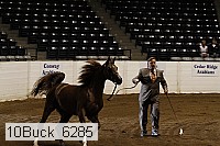 10buck_6285 proof