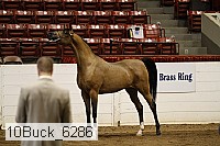 10buck_6286 proof