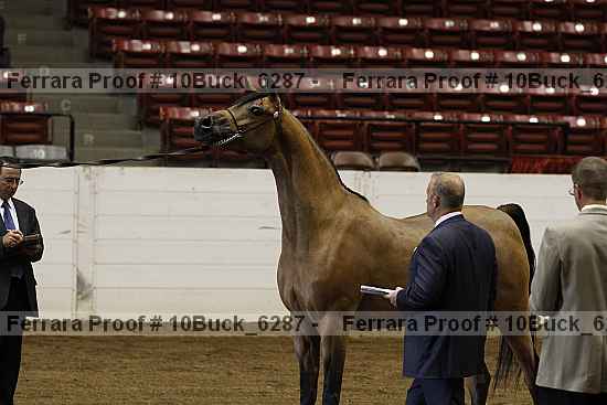 Proof 10buck_6287