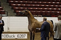 10buck_6287 proof