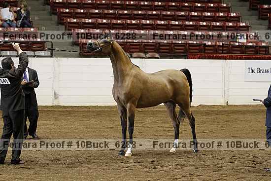 Proof 10buck_6288