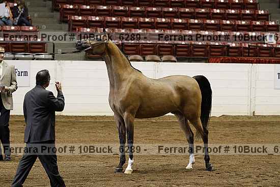 Proof 10buck_6289