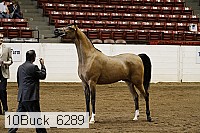 10buck_6289 proof