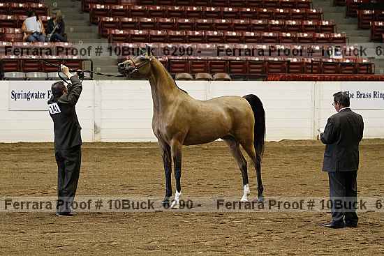 Proof 10buck_6290