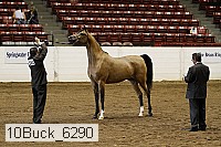 10buck_6290 proof