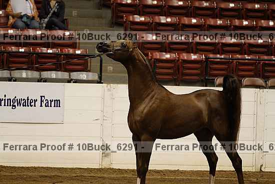 Proof 10buck_6291