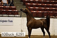 10buck_6291 proof