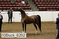 10buck_6292 proof