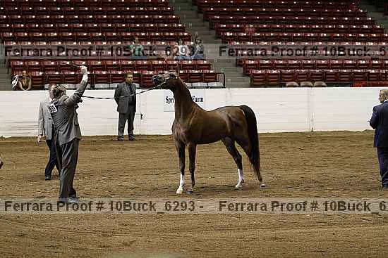 Proof 10buck_6293