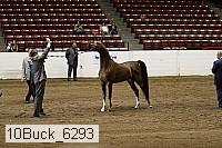 10buck_6293 proof