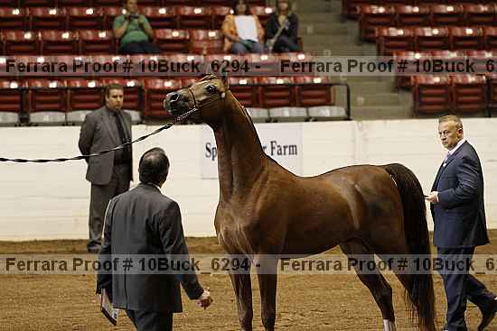 Proof 10buck_6294