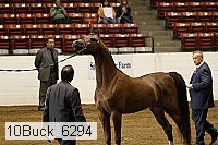 10buck_6294 proof