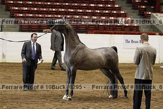 Proof 10buck_6295