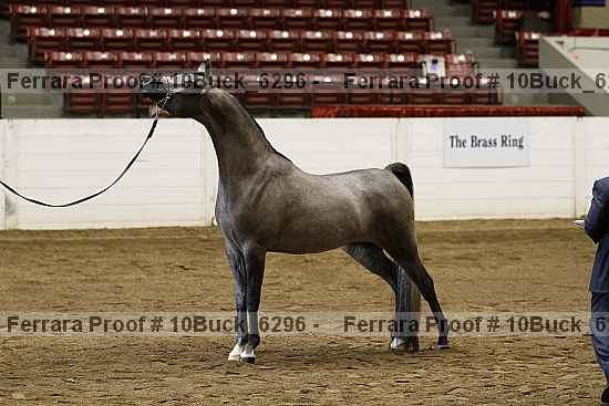 Proof 10buck_6296