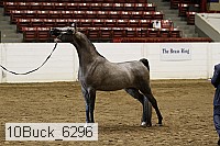 10buck_6296 proof
