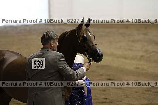 Proof 10buck_6297