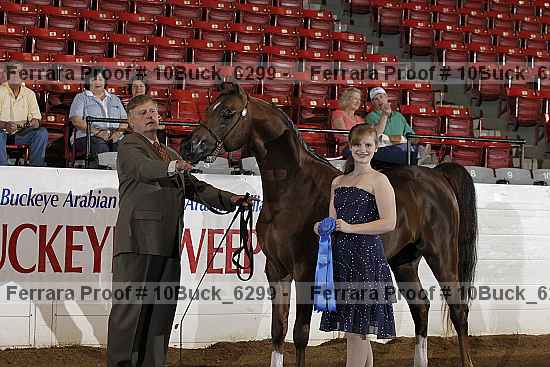 Proof 10buck_6299