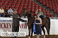 10buck_6299 proof