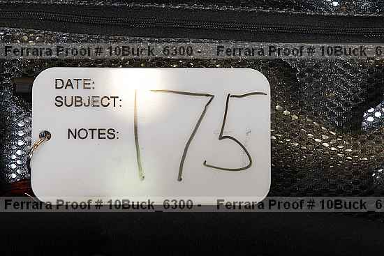 Proof 10buck_6300