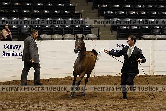 Proof 10buck_6308