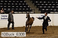 10buck_6308 proof