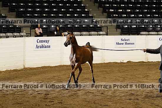 Proof 10buck_6309
