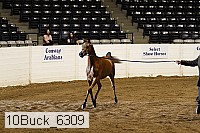 10buck_6309 proof