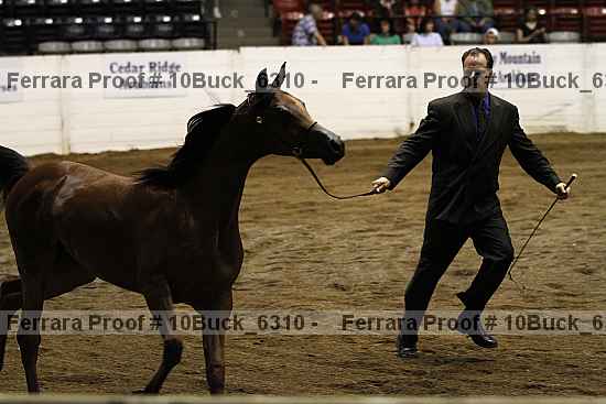 Proof 10buck_6310