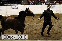 10buck_6310 proof