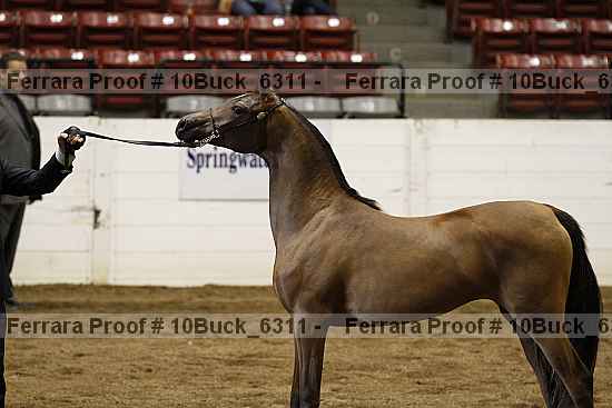 Proof 10buck_6311