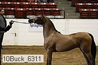 10buck_6311 proof
