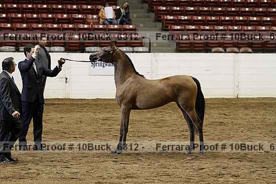 Proof 10buck_6312
