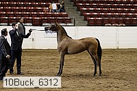 10buck_6312 proof