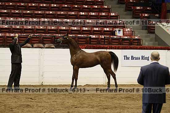 Proof 10buck_6313