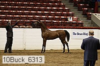 10buck_6313 proof