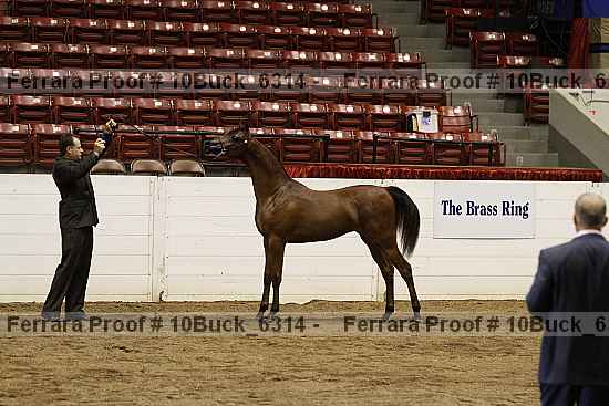 Proof 10buck_6314