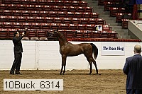 10buck_6314 proof