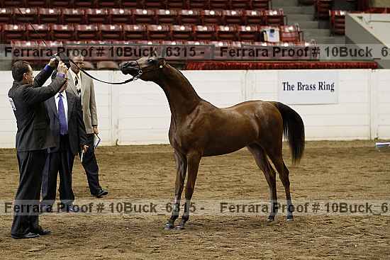 Proof 10buck_6315