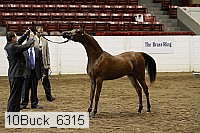 10buck_6315 proof