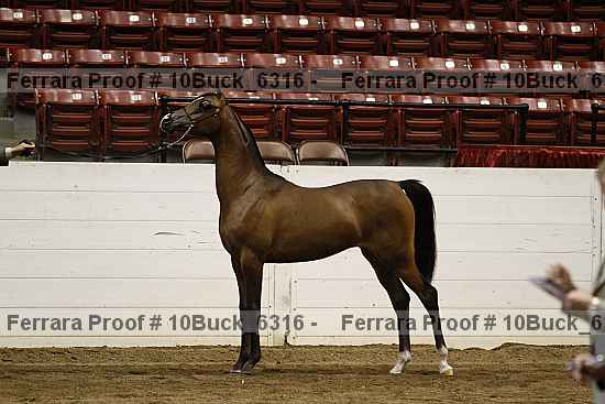 Proof 10buck_6316