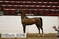 10buck_6316 proof
