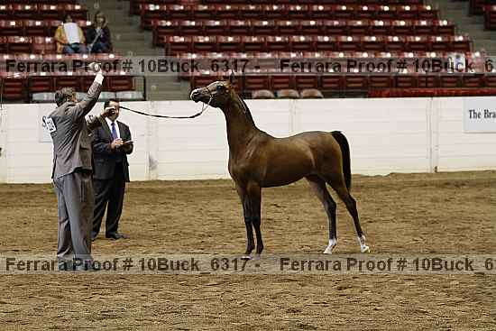 Proof 10buck_6317