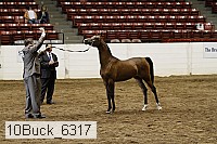 10buck_6317 proof